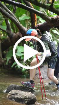 BIB:  <button type="button" onclick="openModal(27606559)" class="btn btn-primary btn-sm float-right" data-toggle="modal" data-target=".modal-high-quality">
                <i class="fa fa-download"></i> Download
                </button>